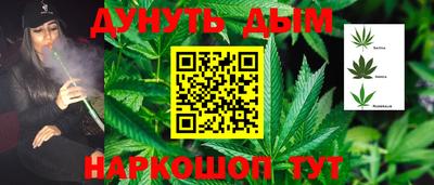 индика Пушкино
