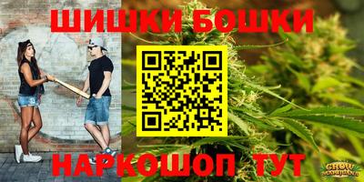 индика Пушкино