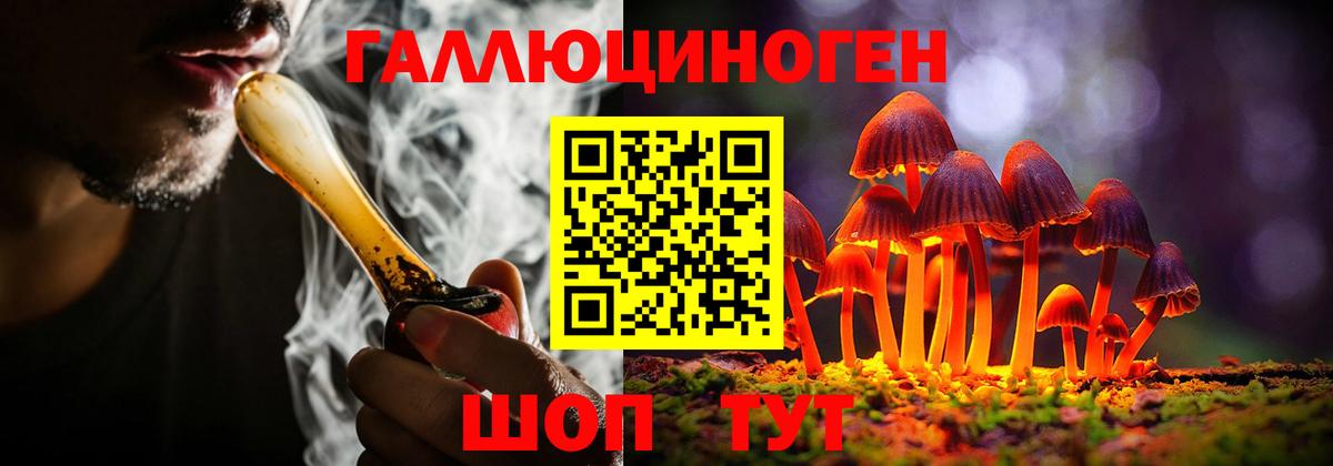 Галлюциногенные грибы Cubensis Полевской